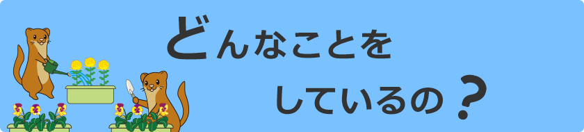 どんなことをしているの？